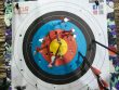 a close up of a target with arrows in it
